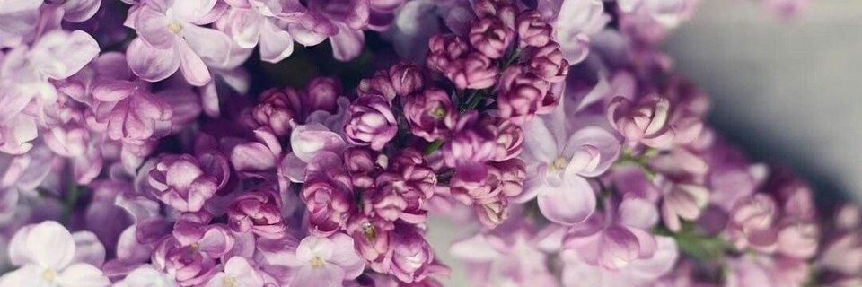moalmhasne's profile banner image
