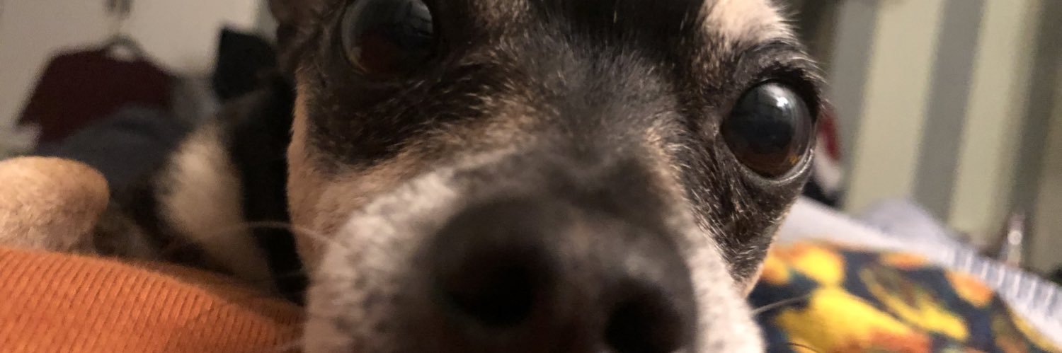 raywithamond's profile banner image
