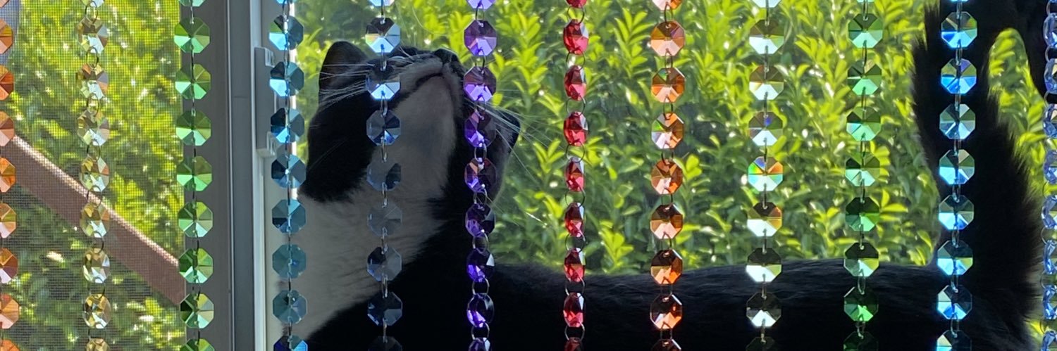 birdentine87's profile banner image