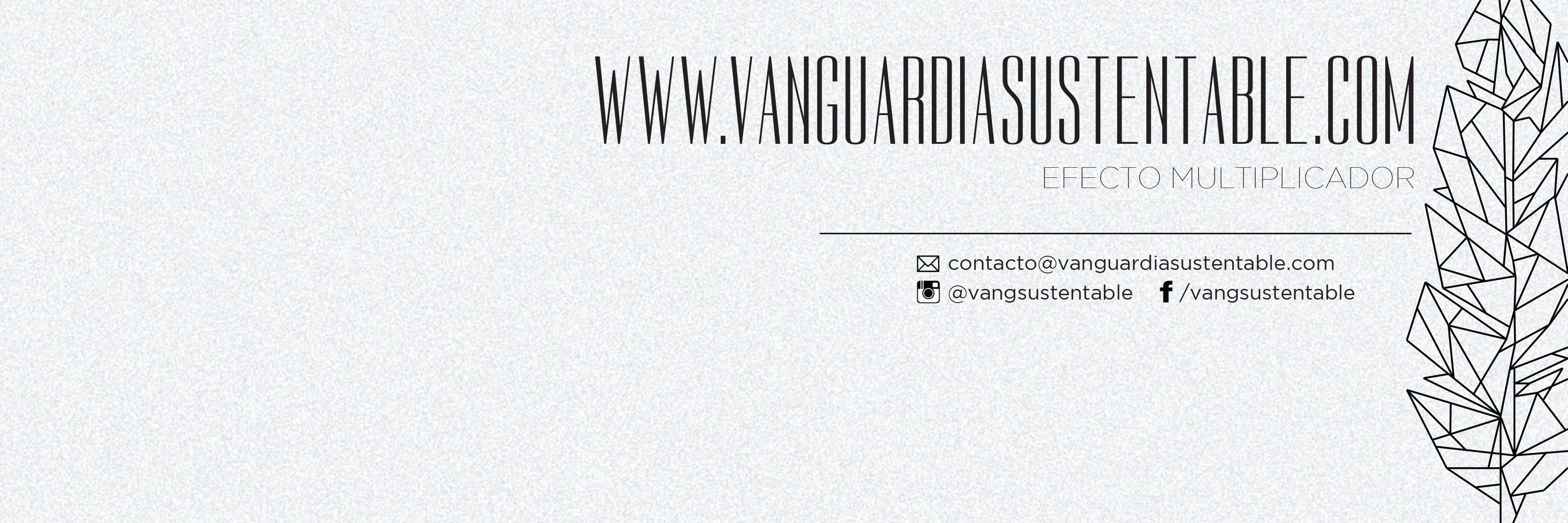 vangsustentable's profile banner image