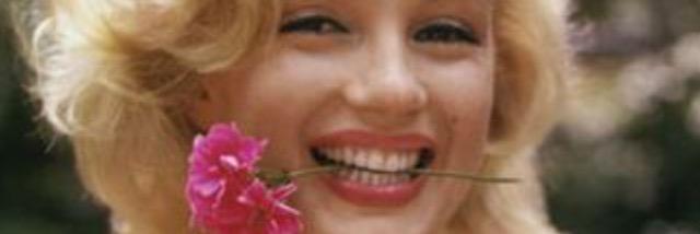 augenoux's profile banner image