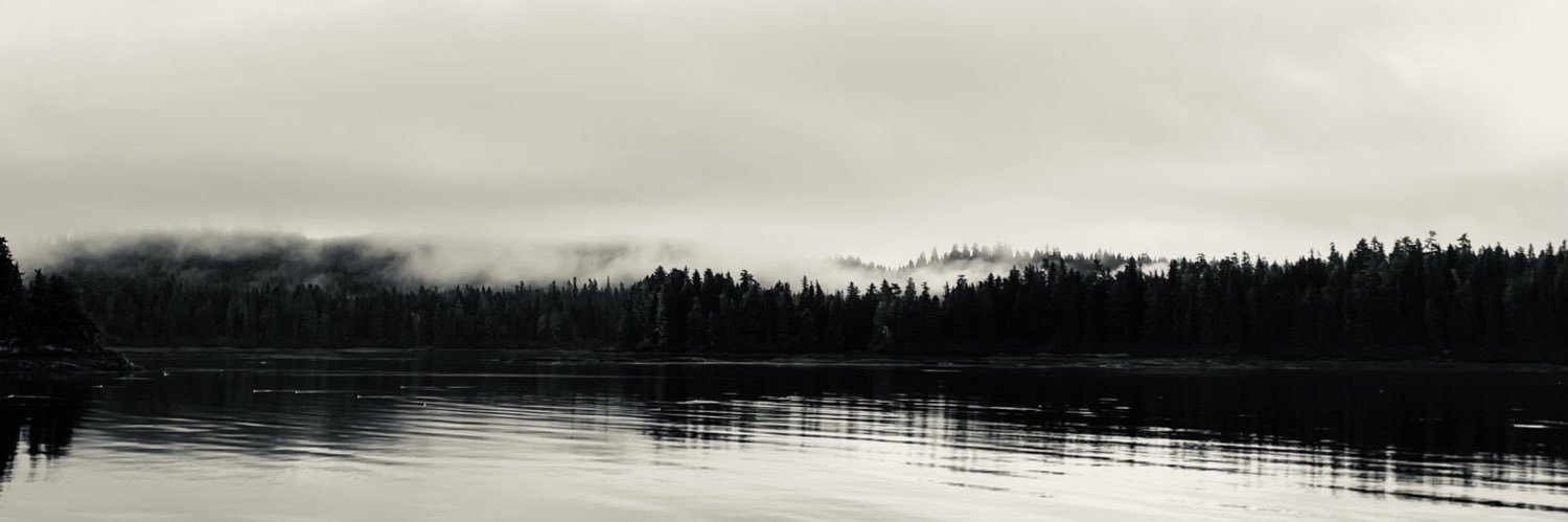 Cdesilva411's profile banner image