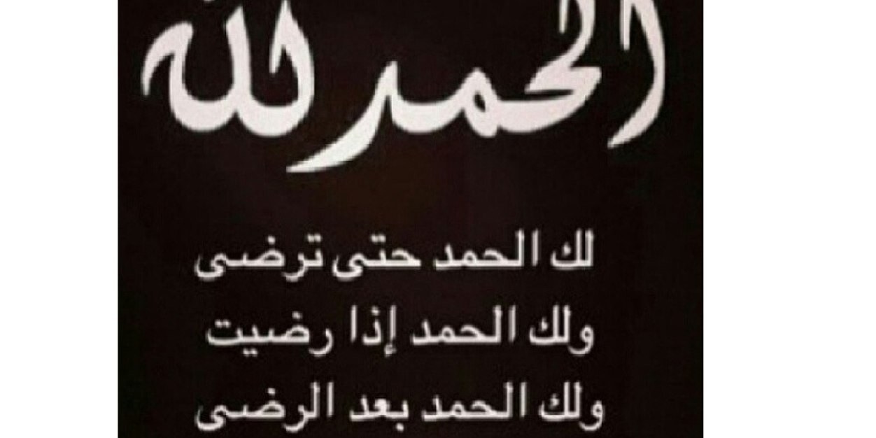 ود بل banner