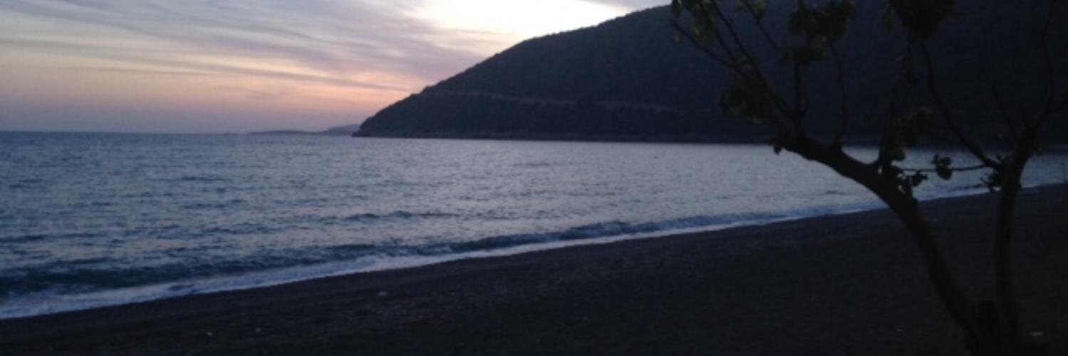 flzbhr's profile banner image