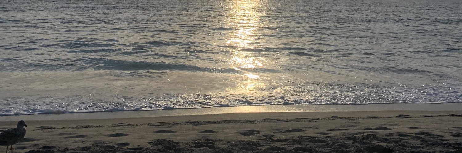 DelaneyCollins1's profile banner image