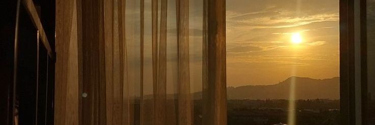 mariamreda20's profile banner image