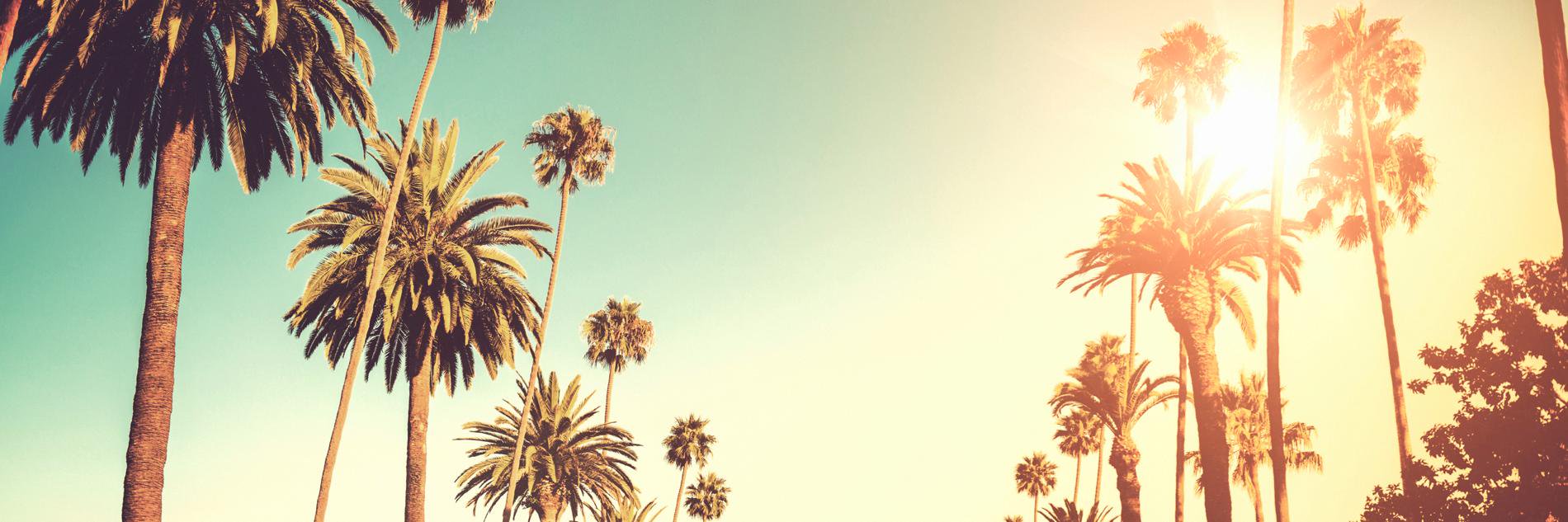 PolarisProperty's profile banner image