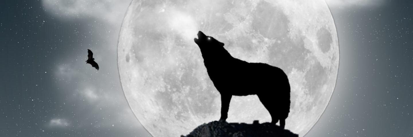 GalaudierJ's profile banner image