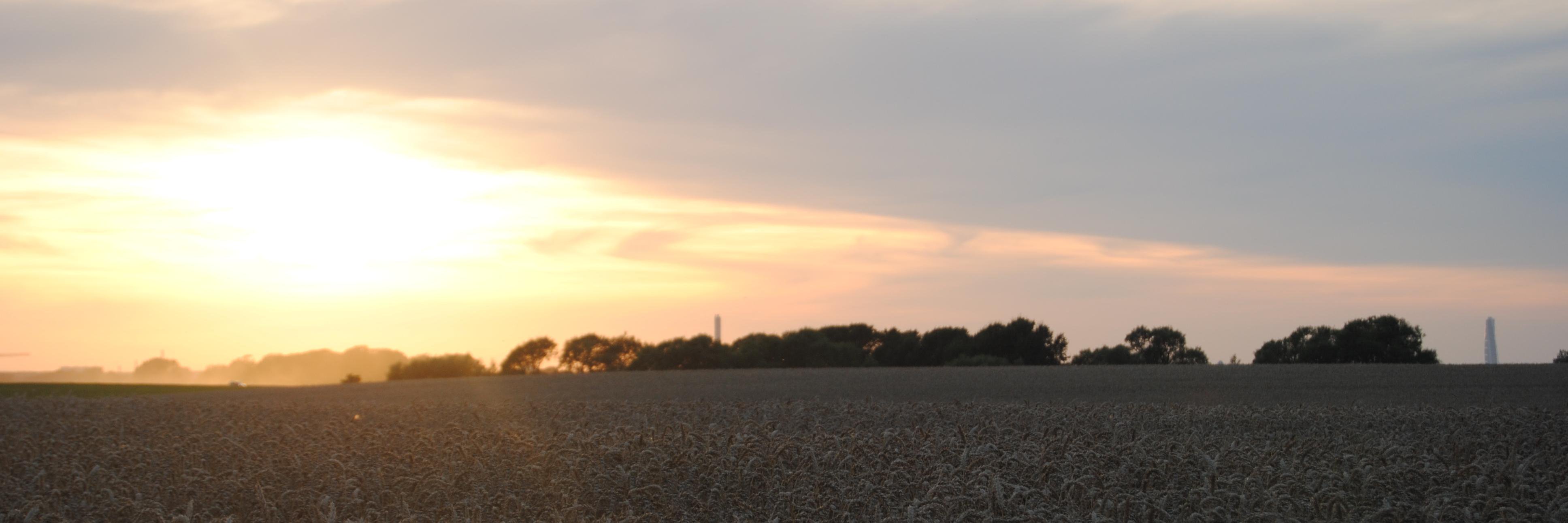 kari_persson's profile banner image