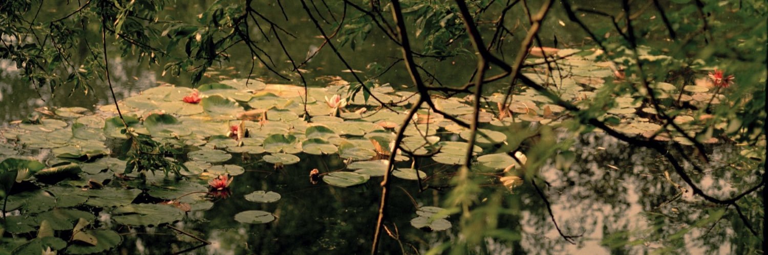 johnnovot's profile banner image