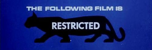Cult Projections banner