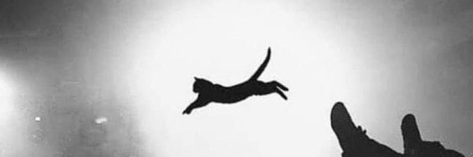 JaredWivell17's profile banner image
