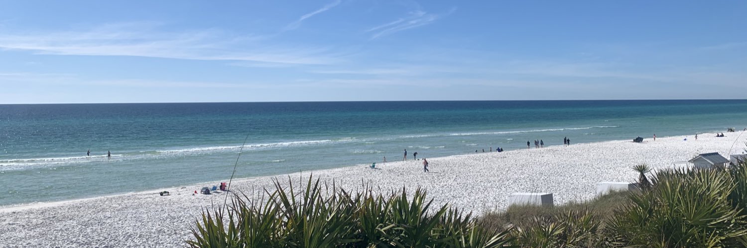 whitney 👩🏾‍💻🌲 banner