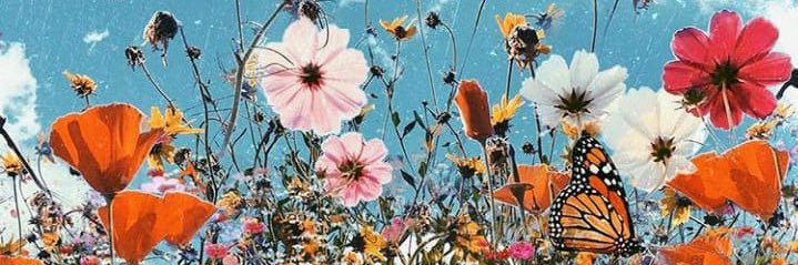 kassikupe_'s profile banner image