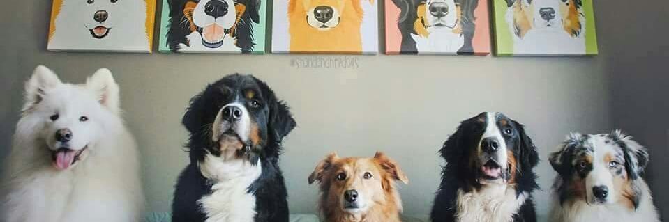 bskerdem's profile banner image