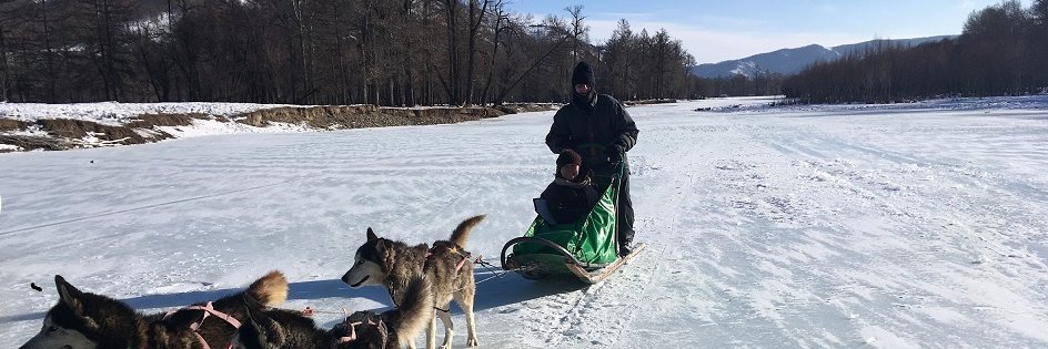 David Bicknell banner