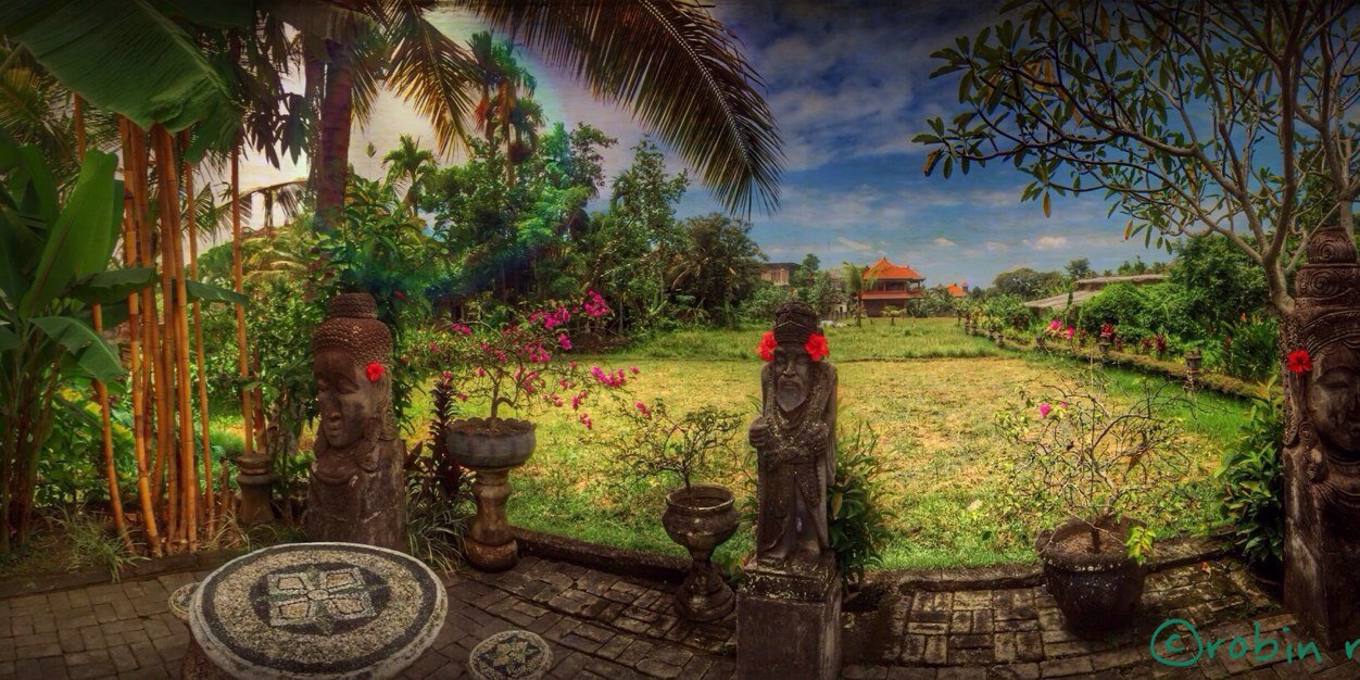 RobinRobertis's profile banner image