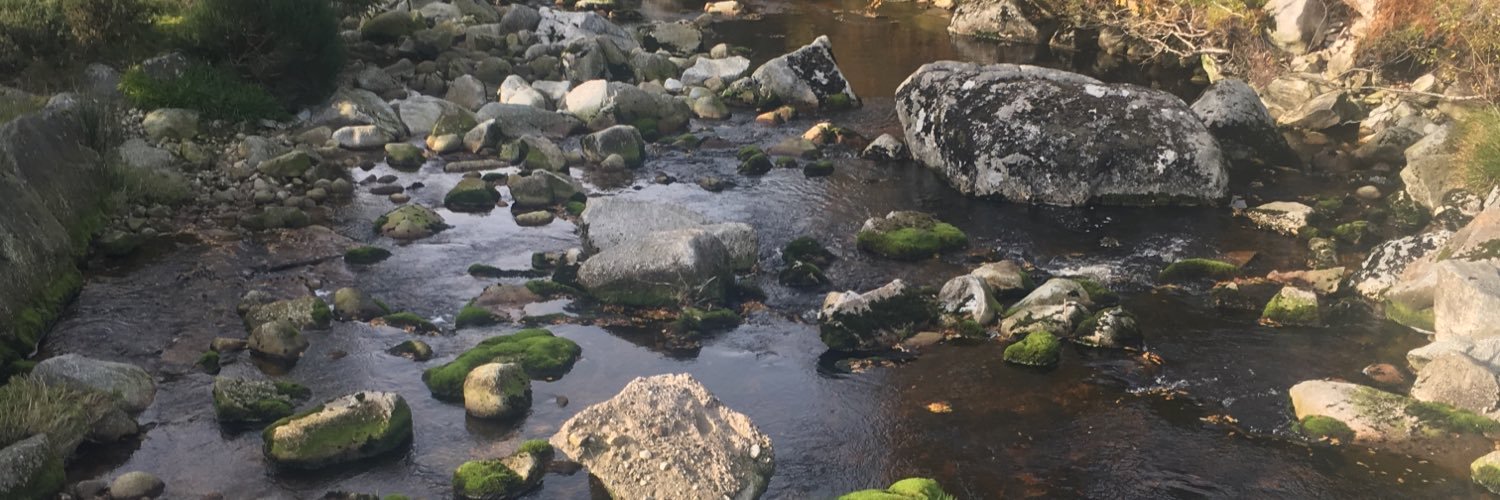 Joanna Murphy banner