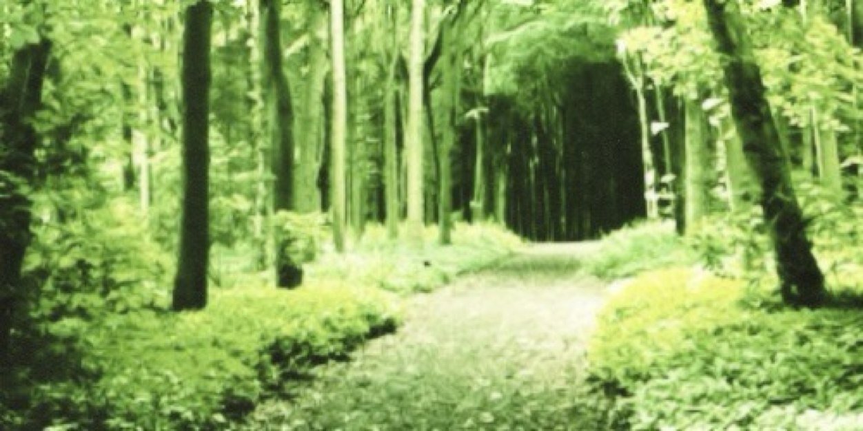 shaywhgdr's profile banner image