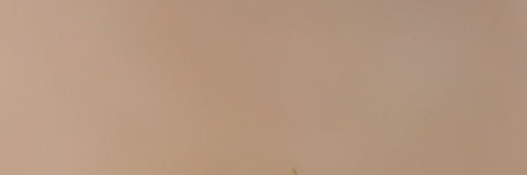 Astristyn's profile banner image