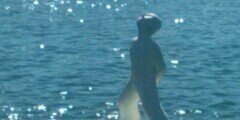 SJagtani's profile banner image