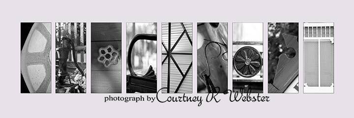 CourtneysCamera's profile banner image