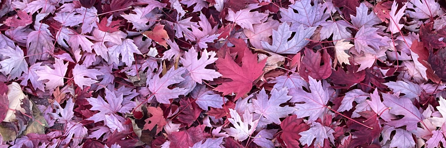 ᴍ ᴋ banner