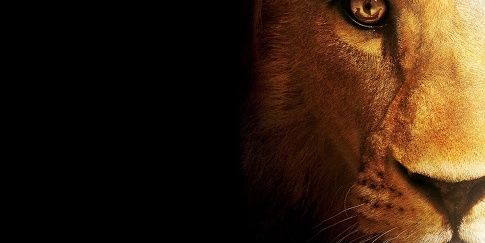 Patricio Parodi banner