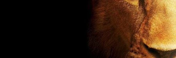 PatoParodiC Profile Banner