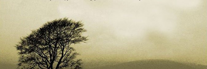 wunmite_79's profile banner image