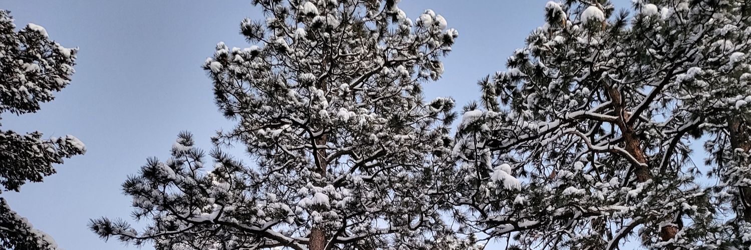 JHizzle777's profile banner image