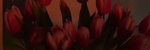 gvzzy's profile banner image