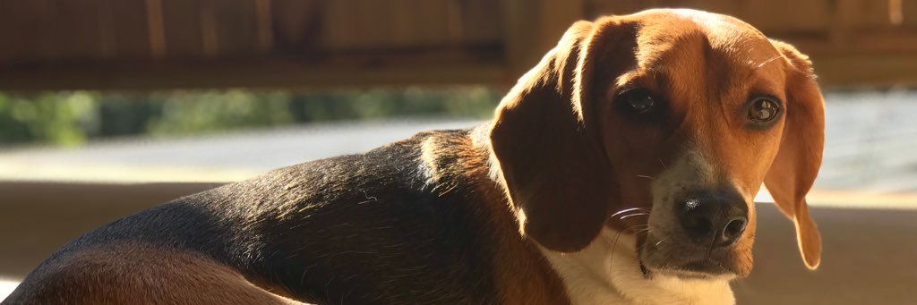 JustD_na's profile banner image