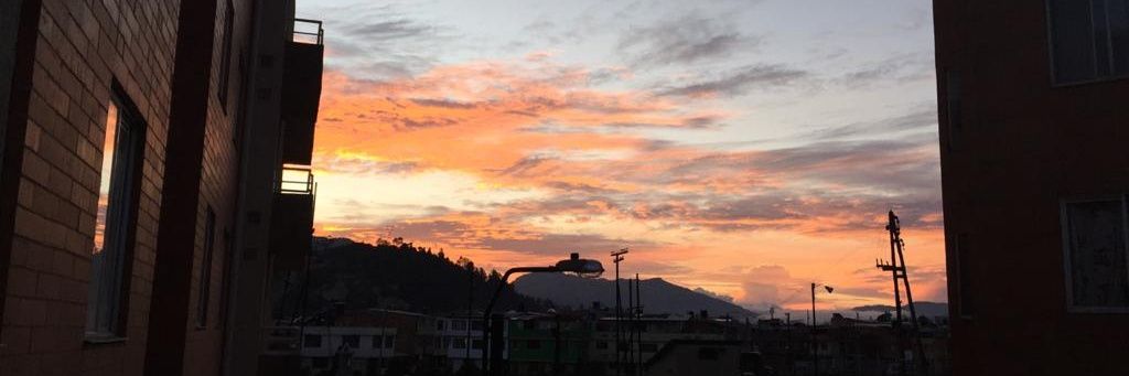 noseque_e's profile banner image