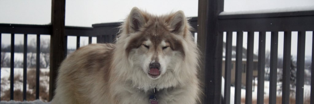 kyhohlen's profile banner image