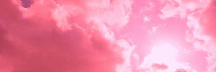flcwerxx's profile banner image