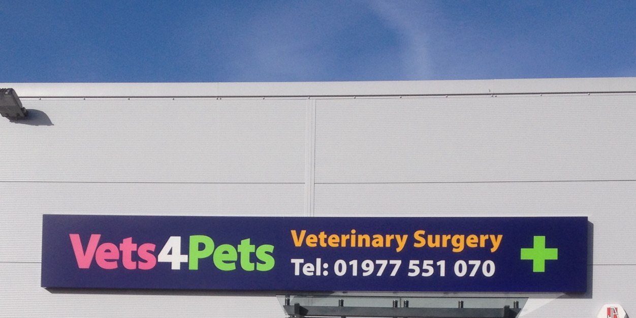 CastlefordV4P's profile banner image