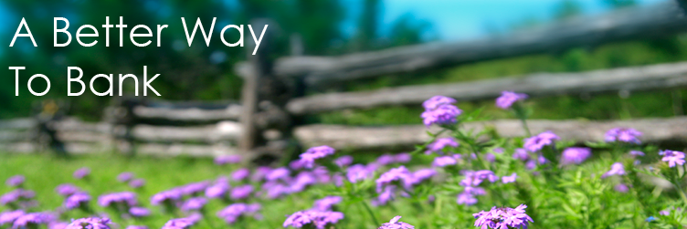 AccountNow's profile banner image