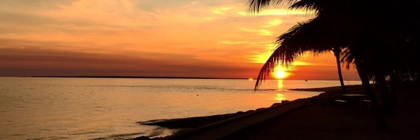 Mudskipper_76 Profile Banner