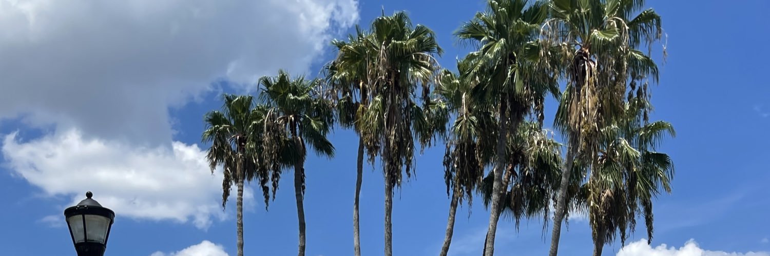 howieshungry99's profile banner image