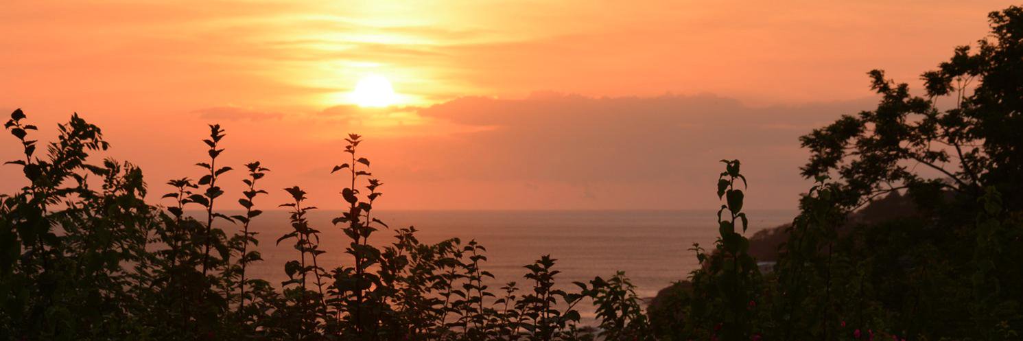 withlovebrenda's profile banner image