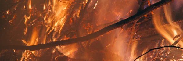CaserWoo's profile banner image