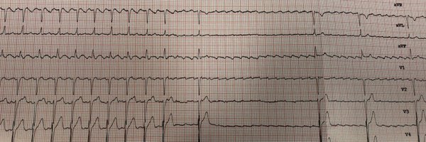 mako_taco_ Profile Banner