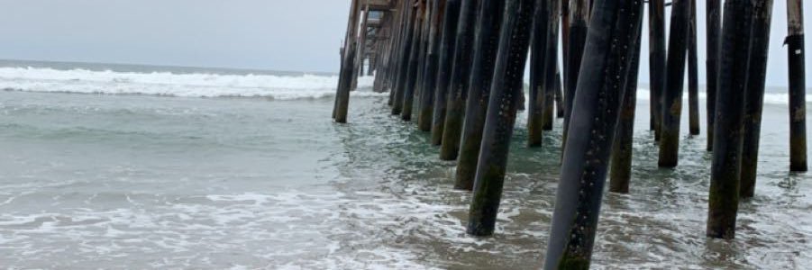 evachantel's profile banner image