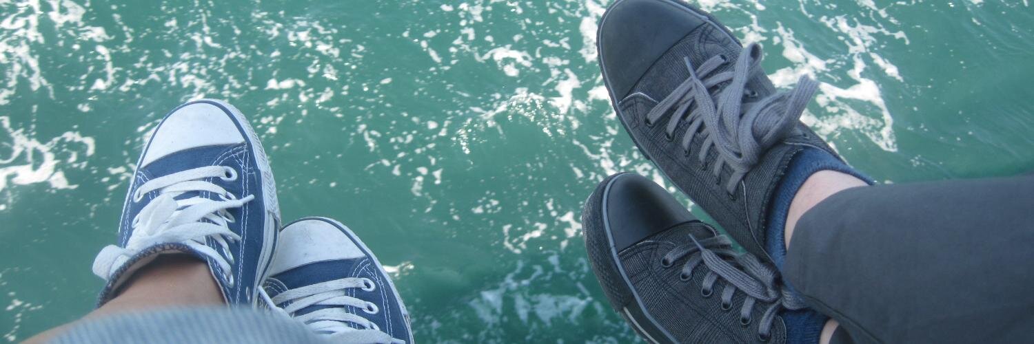 karga ile kedi banner