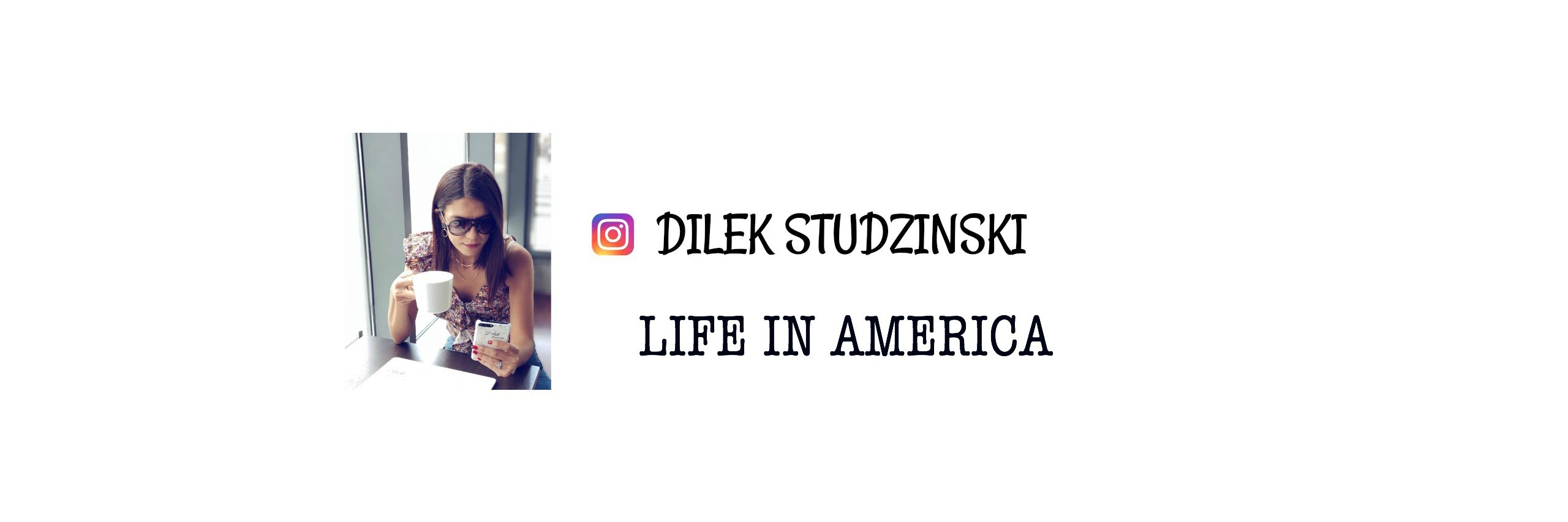 dilekstudzinski's profile banner image