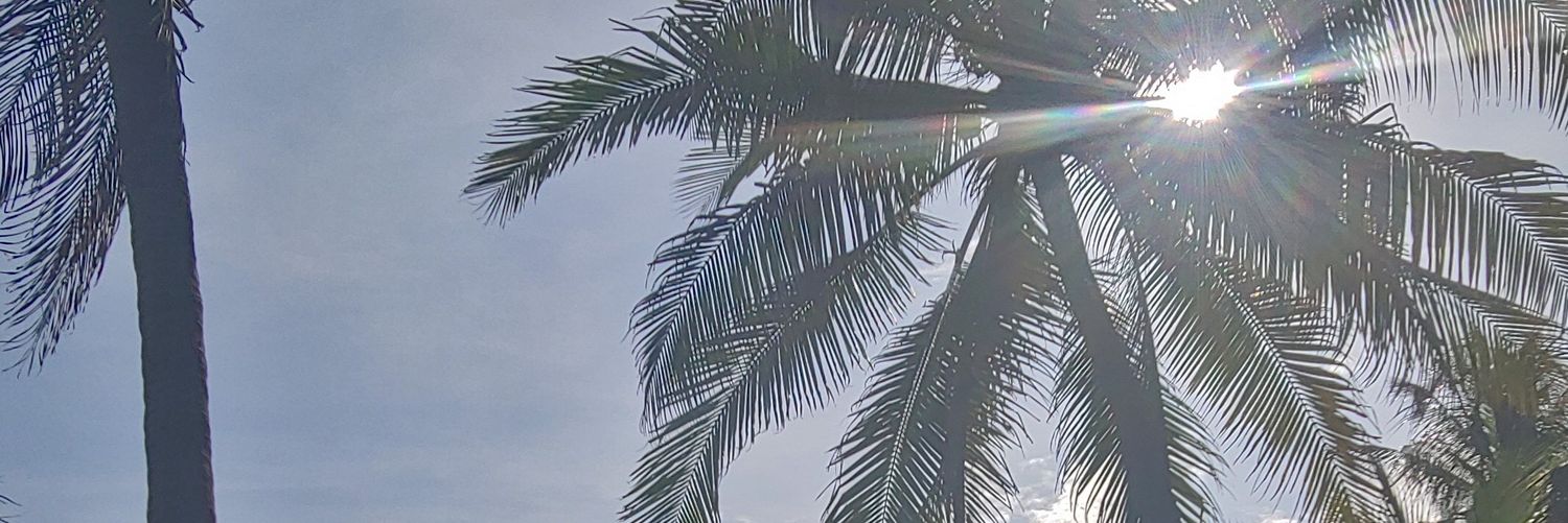 BroMark's profile banner image