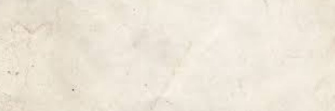 o_iish's profile banner image