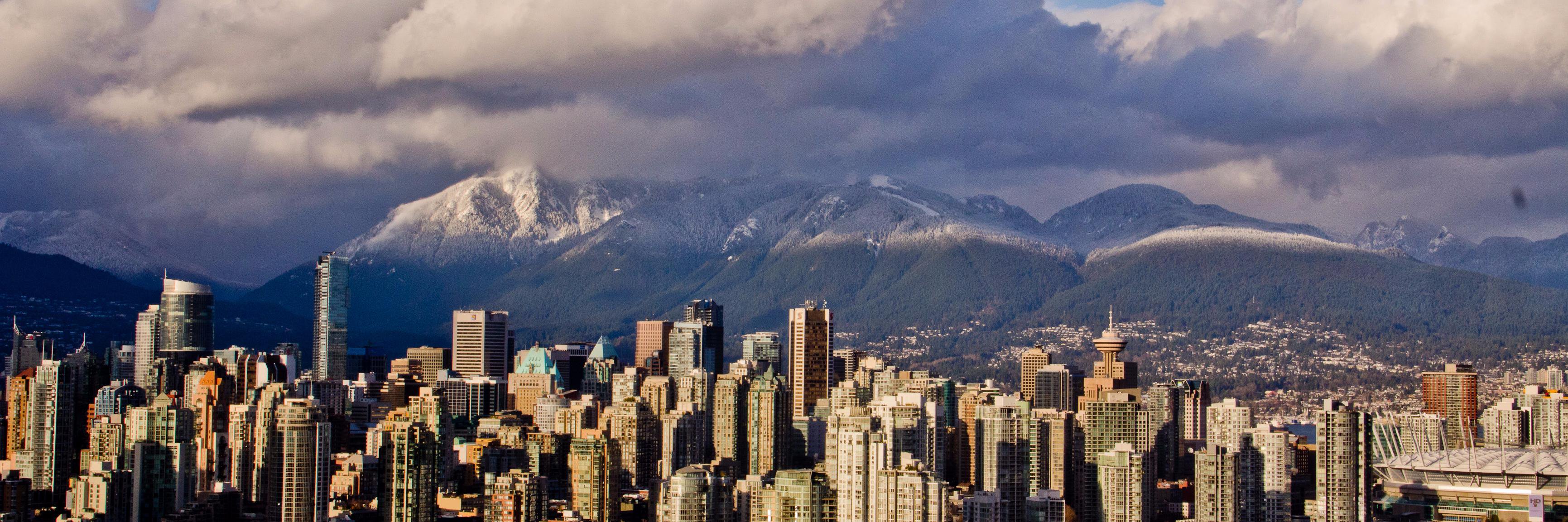 Geoff Harrower banner