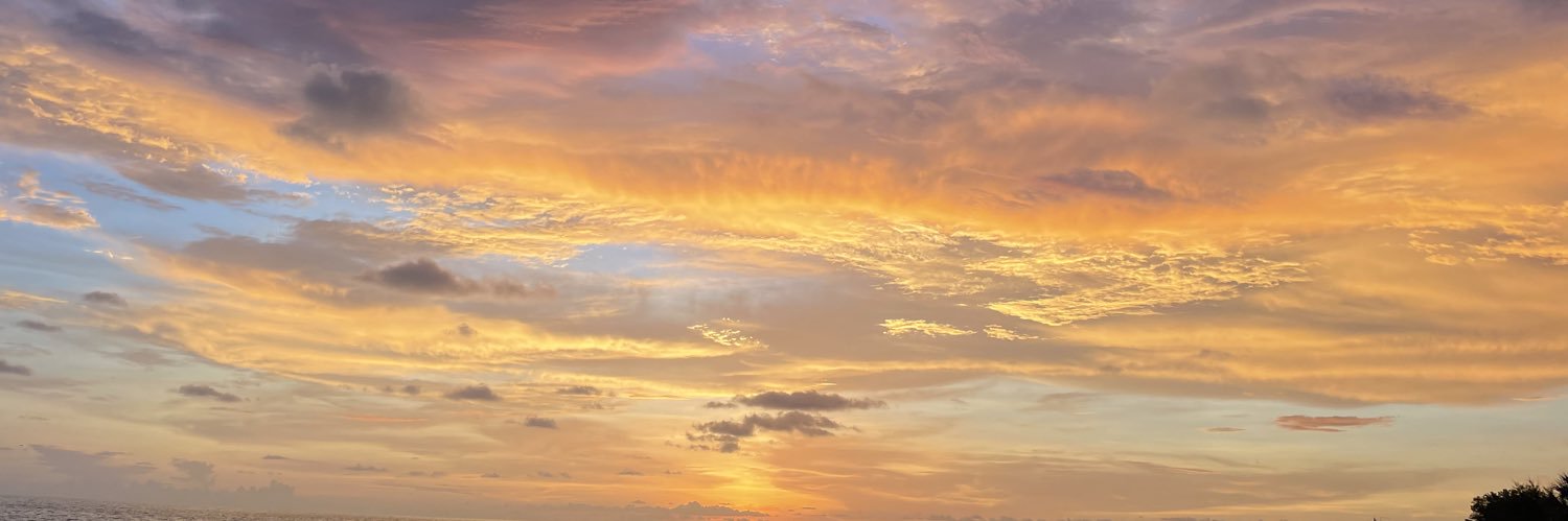 LewWag banner